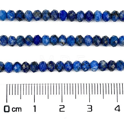 Natural Lapis Lazuli Beads Strands G-L587-B04-02-1