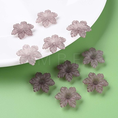 Transparent Acrylic Beads MACR-S373-117-D-1