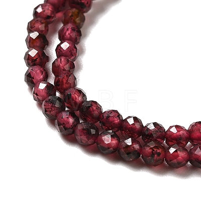 Natural Garnet Beads Strands G-I341-09A-1
