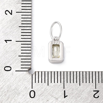 925 Sterling Silver Cubic Zirconia Charms STER-NH0014-01P-08-1