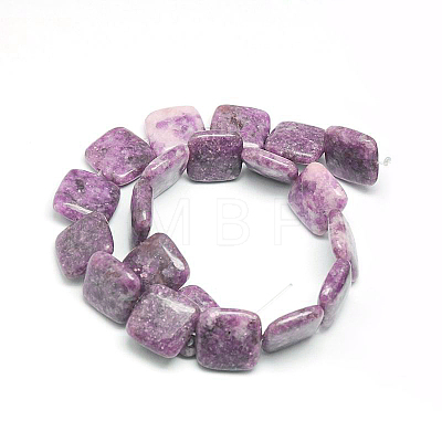 Natural Lepidolite/Purple Mica Stone Beads Strands G-L253-03-1