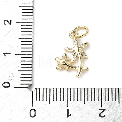 Brass Micro Pave Cubic Zirconia Charms ZIRC-I356-32G-1