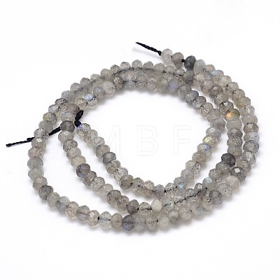 Natural Labradorite Rondelle Bead Strands G-O095-05-A-1