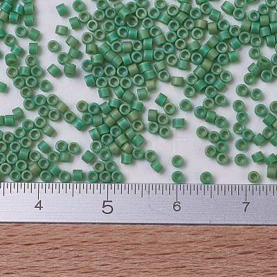 MIYUKI Delica Beads Small X-SEED-J020-DBS0877-1