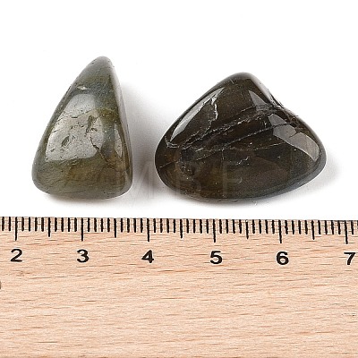 Natural Labradorite Beads G-Z062-04-1