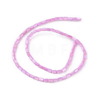Natural Freshwater Shell Dyed Beads Strands SHEL-M018-12-08-1