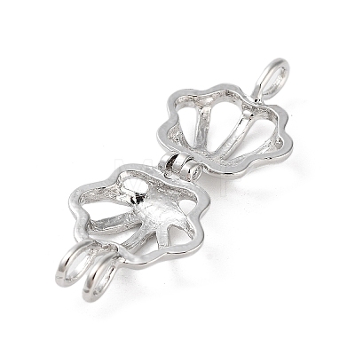 Alloy Bead Cage Pendants FIND-M012-01I-P-1