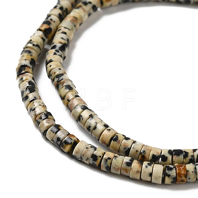 Natural Dalmatian Jasper Beads Strands G-E612-A01-B-1