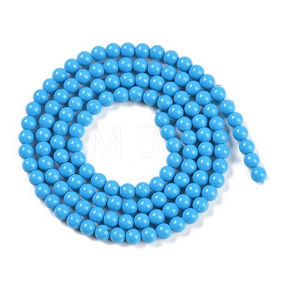 Synthetic Turquoise Beads Strands G-U004-02F-1
