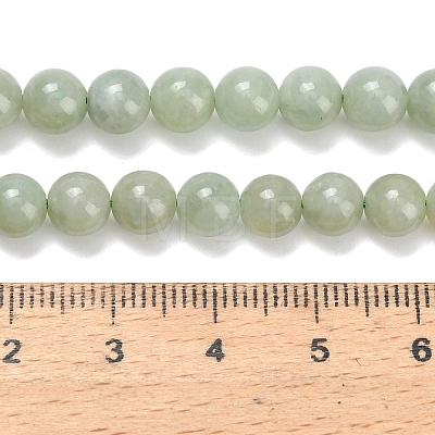 Natural Myanmar Jade/Burmese Jade Beads Strands G-L642-B11-6mm-1