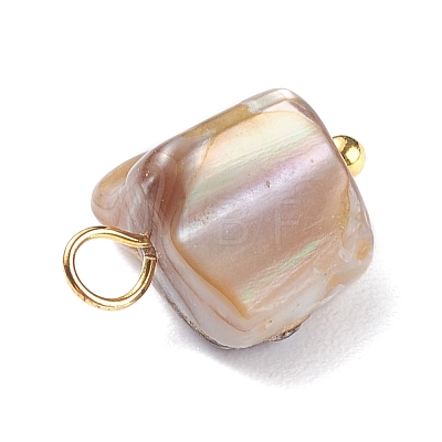 Natural Dyed Shell Charms PALLOY-JF01339-05-1