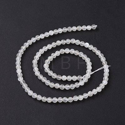 Natural Moonstone Beads Strands G-F736-01-1