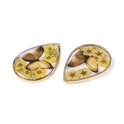 Transparent Epoxy Resin Pendants RESI-T059-20-1