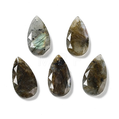 Natural Labradorite Faceted Pendants G-D082-01B-1