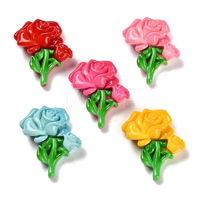 Resin Cabochons CRES-S369-02-1