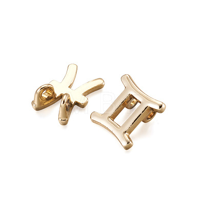 Fashewelry Alloy Charms FIND-FW0001-02-1