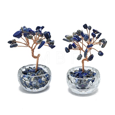 Natural Lapis Lazuli Chip Pachira Glabra Display Decorations DJEW-K025-04E-1