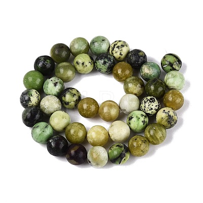 Natural Serpentine Beads Strands G-Q616-07D-1