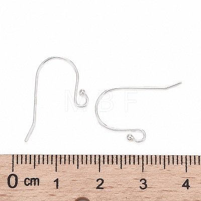 925 Sterling Silver Earring Hooks STER-G011-06-1