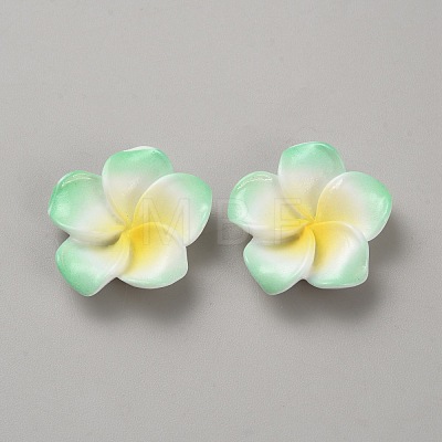 Two Tone Resin Cabochons RESI-WH20010-01B-1