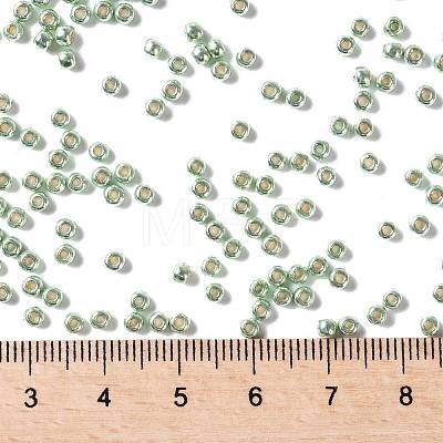 TOHO Round Seed Beads X-SEED-TR08-PF0560-1