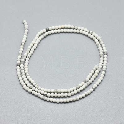 Natural Howlite Beads Strands G-A177-04-24-1