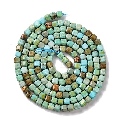 Natural Howlite Beads Strands G-G001-A02-05-1