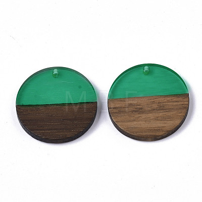 Transparent Resin & Walnut Wood Pendants RESI-S358-02B-H57-1