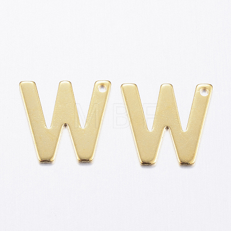 304 Stainless Steel Charms STAS-P141-W-1
