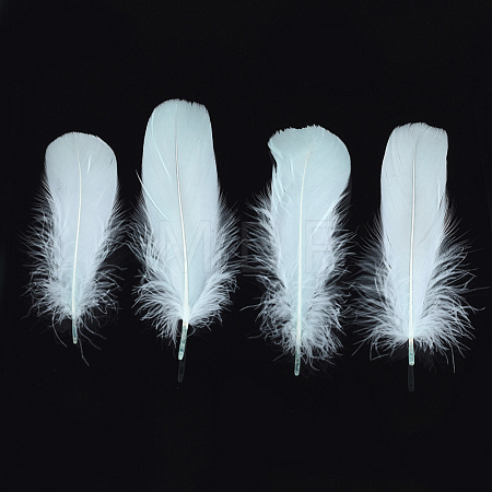 Goose Feather Costume Accessories FIND-T037-04H-1