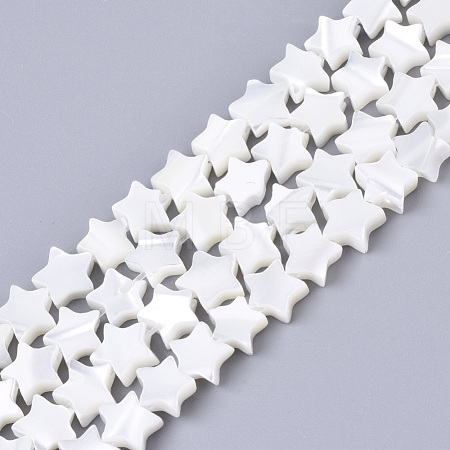 Natural Trochid Shell/Trochus Shell Bead Strands SSHEL-N034-68A-1