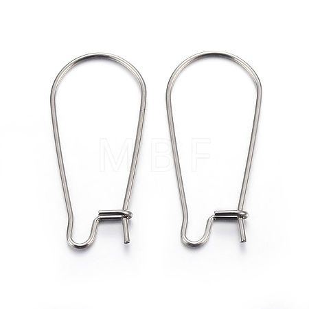 Tarnish Resistant 304 Stainless Steel Hoop Earring Findings LS-STAS-P223-01P-04-1