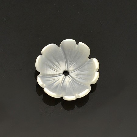 Flower Natural White Shell Beads SSHEL-N011-09-1