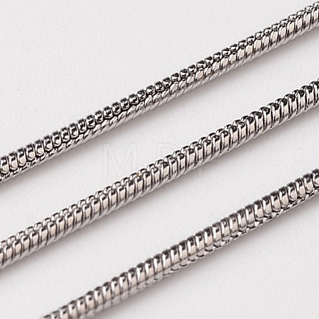 Non-Tarnish 3.28 Feet 304 Stainless Steel Round Snake Chains X-CHS-L015-06-1