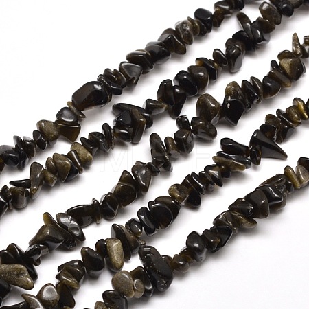 Natural Golden Sheen Obsidian Chip Bead Strands G-M205-07-1