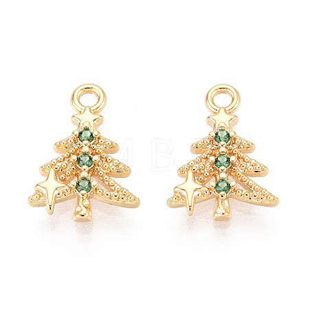 Brass Micro Pave Cubic Zirconia Charms KK-N263-145B-G-1