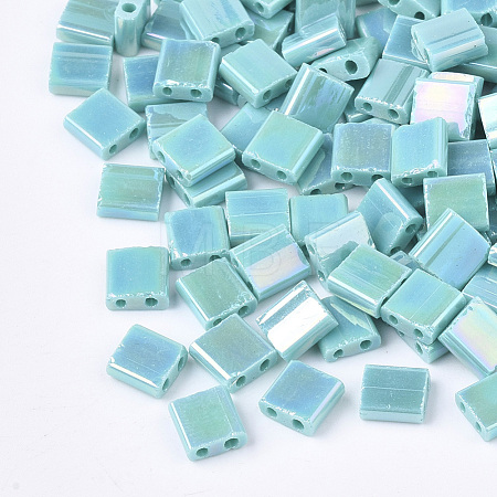 2-Hole Glass Seed Beads X-SEED-S023-19C-01-1