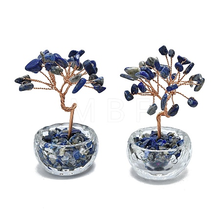 Natural Lapis Lazuli Chip Pachira Glabra Display Decorations DJEW-K025-04E-1