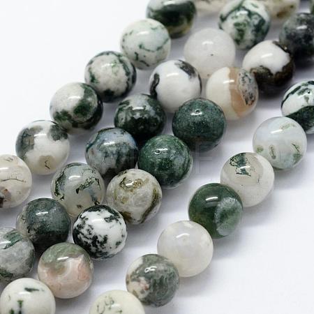 Natural Tree Agate Beads Strands G-I199-03-6mm-1