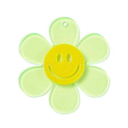 Transparent Acrylic Big Pendants LS-OACR-P012-A04-1