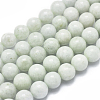 Natural Myanmar Jade/Burmese Jade Beads Strands G-D0001-09-10mm-1
