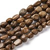 Natural Picture Jasper Beads Strands G-G146-A01-01-1