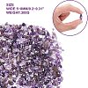 Natural Amethyst Chips Beads G-GA0001-19-2