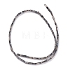 Natural Black Larvikite Bead Strands G-C301-06-2