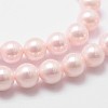 Shell Pearl Bead Strands BSHE-L025-06-8mm-4