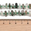 Natural Green Lodolite Quartz/Garden Quartz/Green Phantom Quartz Beads Strands GG-CBA3A44-B10-01-4