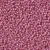 MIYUKI Round Rocailles Beads SEED-JP0009-RR0556-4