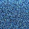 MIYUKI Delica Beads LS-X-SEED-J020-DB2516-2