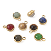 Fashewelry 8Pcs 8 Styles Natural Gemstone Pendants G-FW0001-29-11