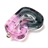 Resin Pendant LS-FIND-Q107-01B-01-2